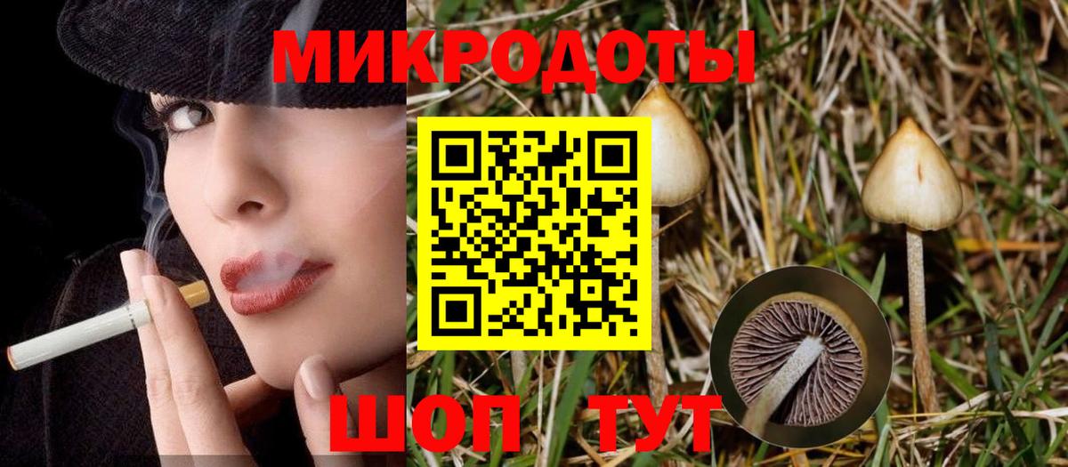 Галлюциногенные грибы Cubensis  Вход с VPN  Подольск 