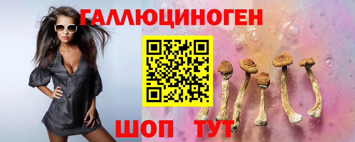 Псилоцибиновые грибы Cubensis Подольск